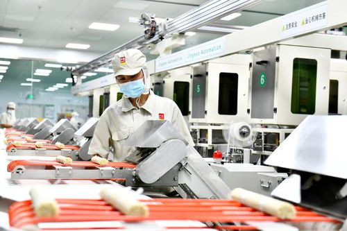 行走先行區 融合創新,齊魯鄉村描繪新畫卷